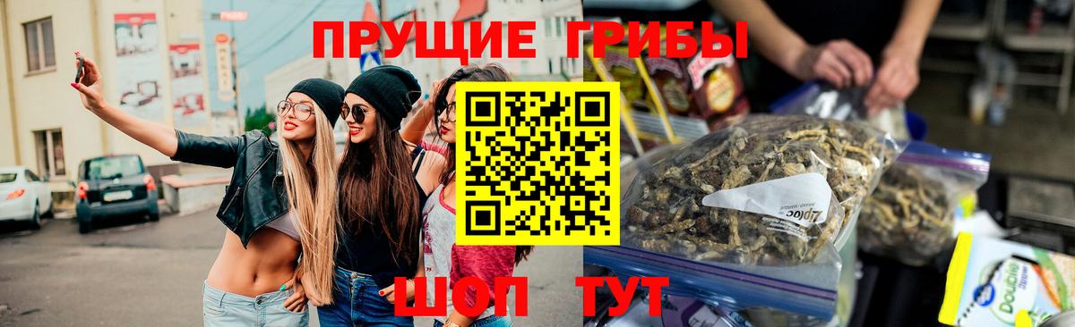 Галлюциногенные грибы Psilocybe Нижневартовск